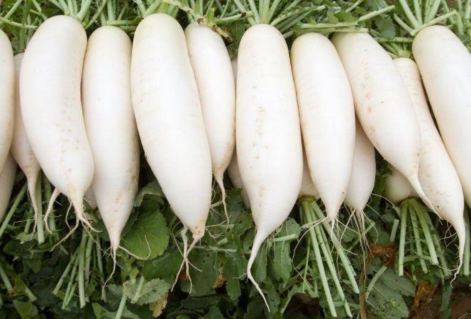 江門飯?zhí)贸邪? border= 江門飯?zhí)贸邪? style=